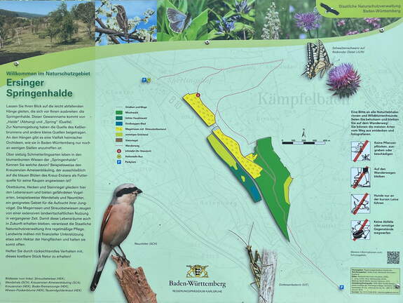 22-05-08 10-39-08 0753